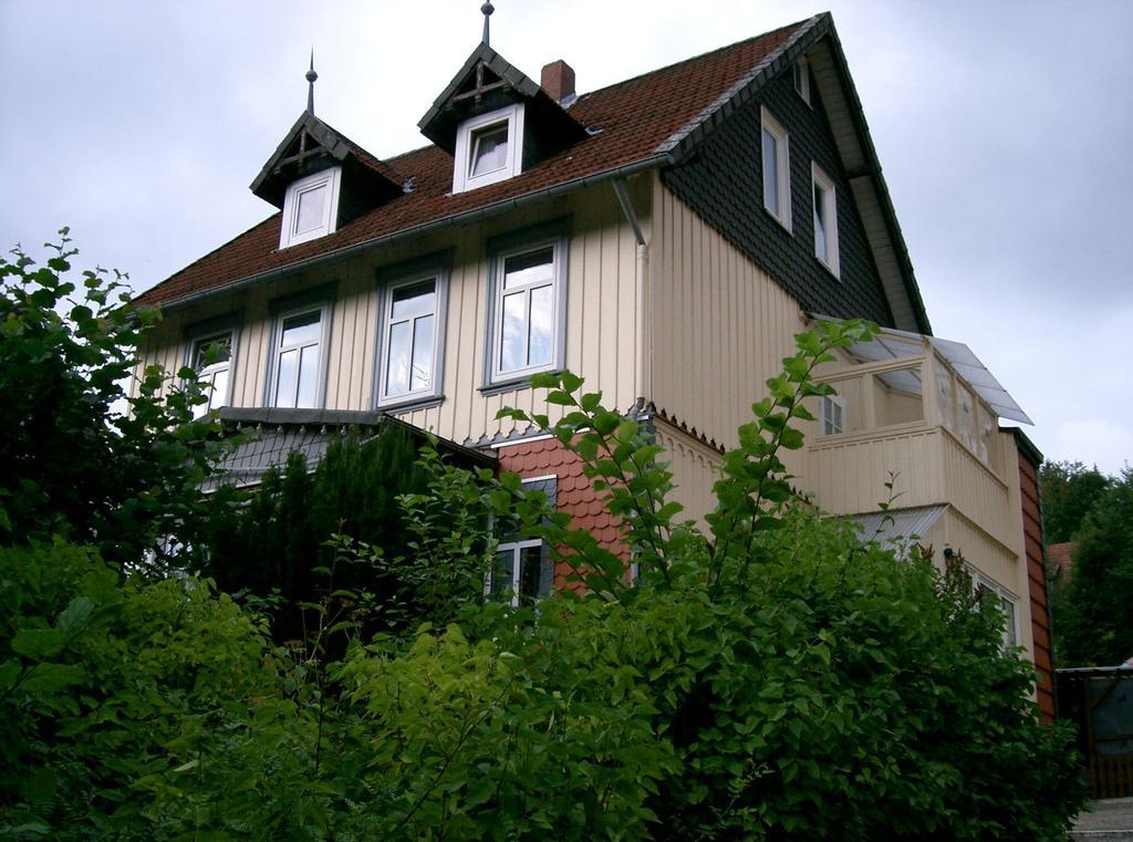 Pension Haus Martha Bad Grund Extérieur photo