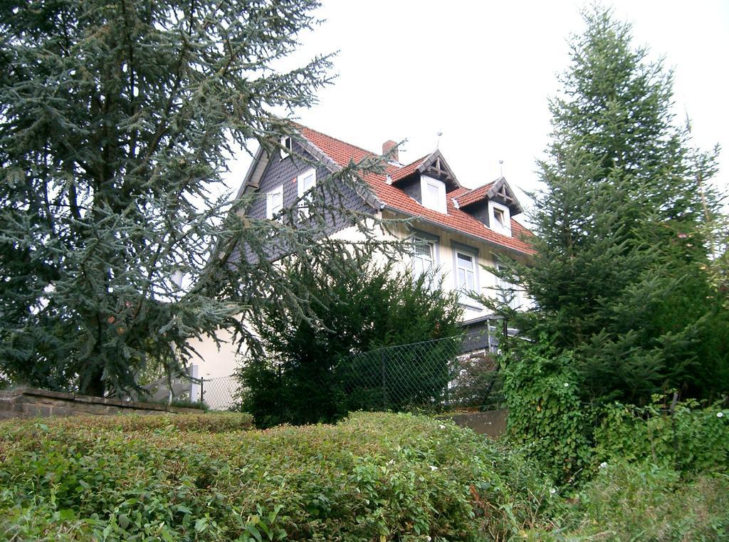 Pension Haus Martha Bad Grund Extérieur photo